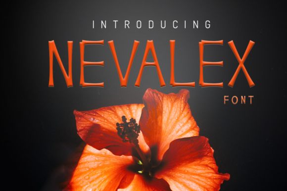 Nevalex Display Font for Creative Branding Projects